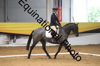 GUB-1246
