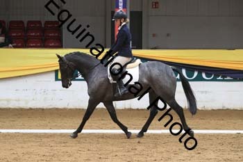 GUB-1247