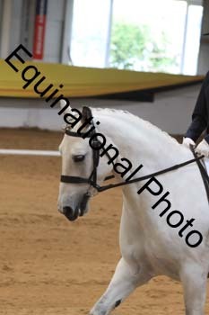GUB-1259