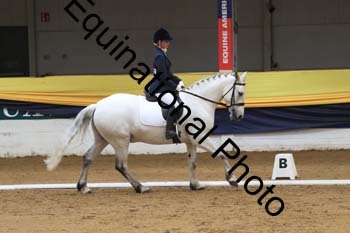 GUB-1261