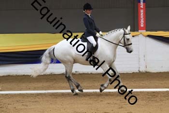 GUB-1262
