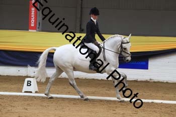 GUB-1338