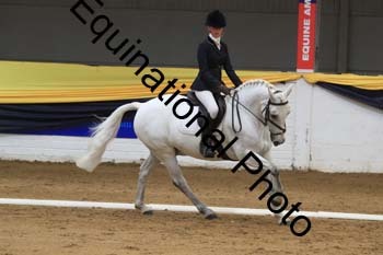 GUB-1339