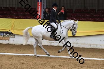 GUB-1341