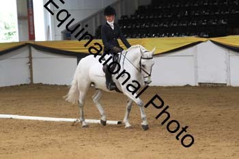 GUB-1343