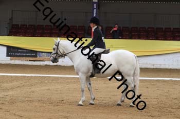 GUB-1353