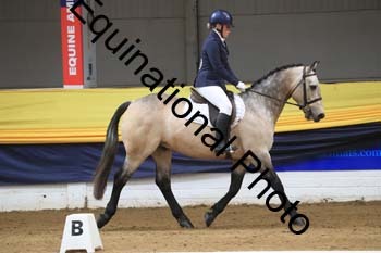 GUB-1358