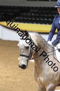 GUB-1362