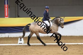 GUB-1377