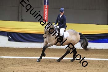GUB-1381