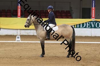 GUB-1382