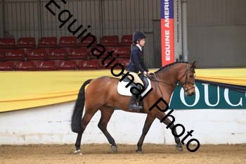 GUB-1386