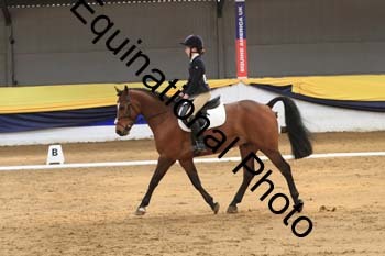 GUB-1393