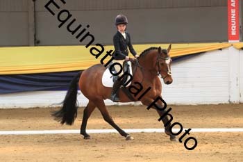 GUB-1404