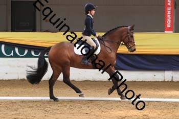 GUB-1407