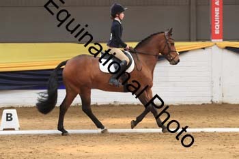 GUB-1408