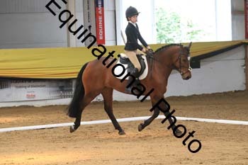 GUB-1409
