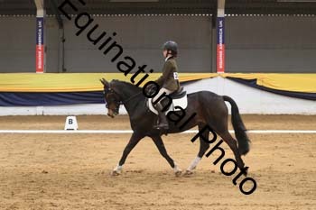 GUB-1426