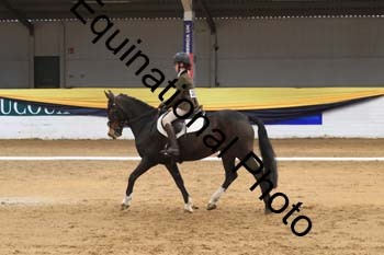 GUB-1427