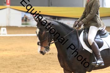 GUB-1431