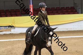 GUB-1446