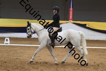 GUB-1482