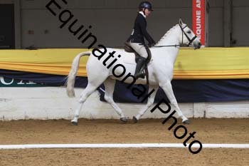 GUB-1493