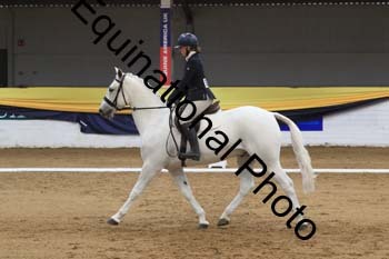 GUB-1504
