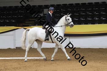 GUB-1508