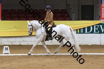 GUB-1556
