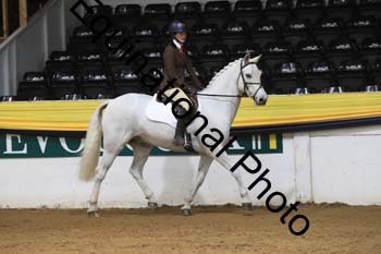 GUB-1561