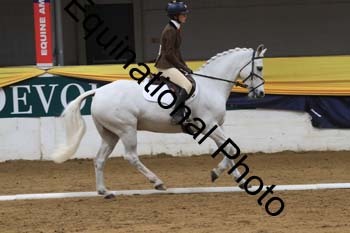 GUB-1585