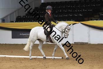 GUB-1666