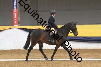 GUB-1781