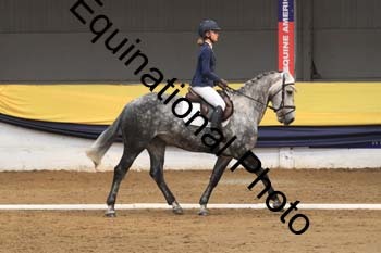 GUB-1806