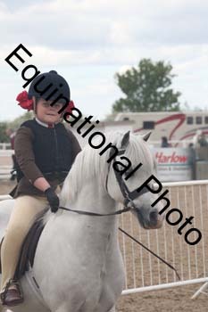 SKL-2184