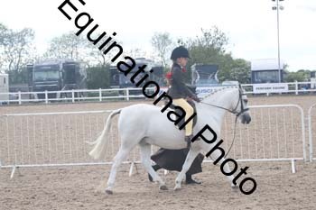 SKL-2278