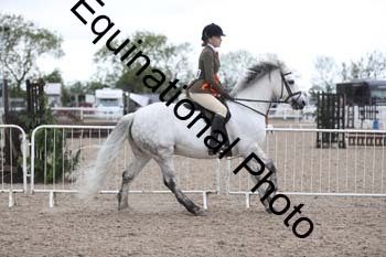BCT-2009