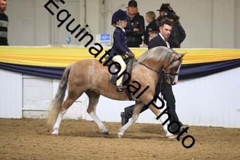 ZEC-1682