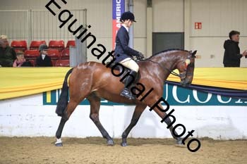 ZEC-2004