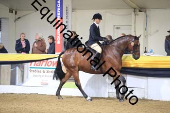 ZEC-2010