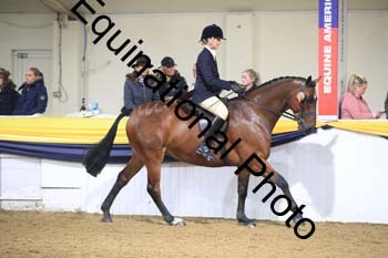 ZEC-2011
