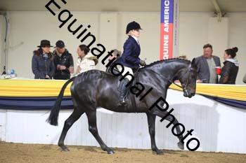 ZEC-2014