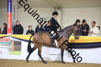 ZEC-2015