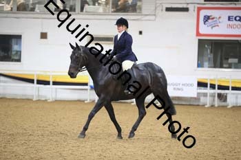 ZEC-2019