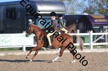 REB-1039