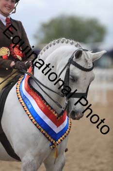 REB-2098