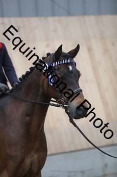 1_EQU-3314