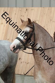 EQU-1228