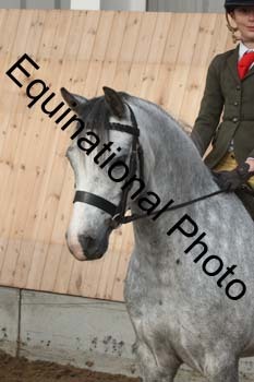 EQU-1231